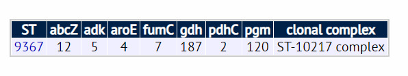 Sequence of numbers and locus names representing _N. meningitidis_ sequence type 9367