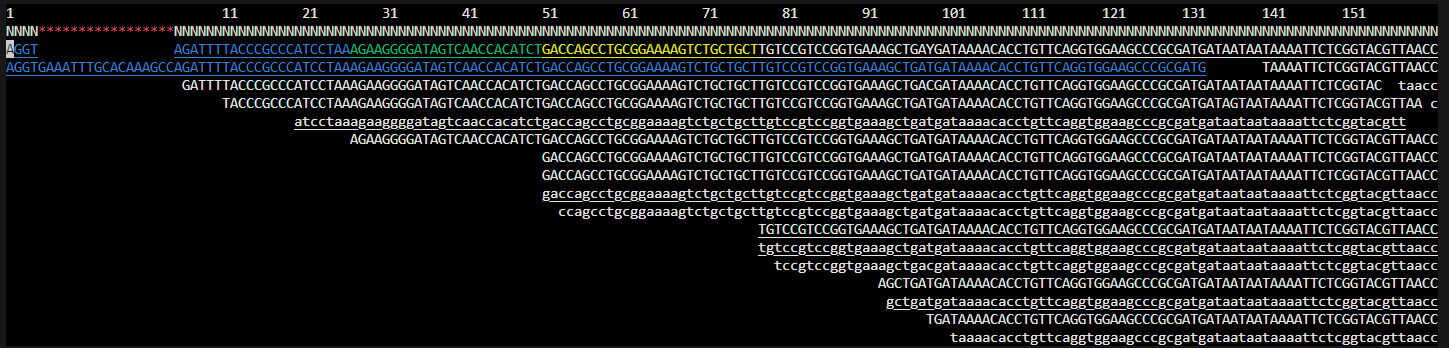 samtools tview output showing aligned reads